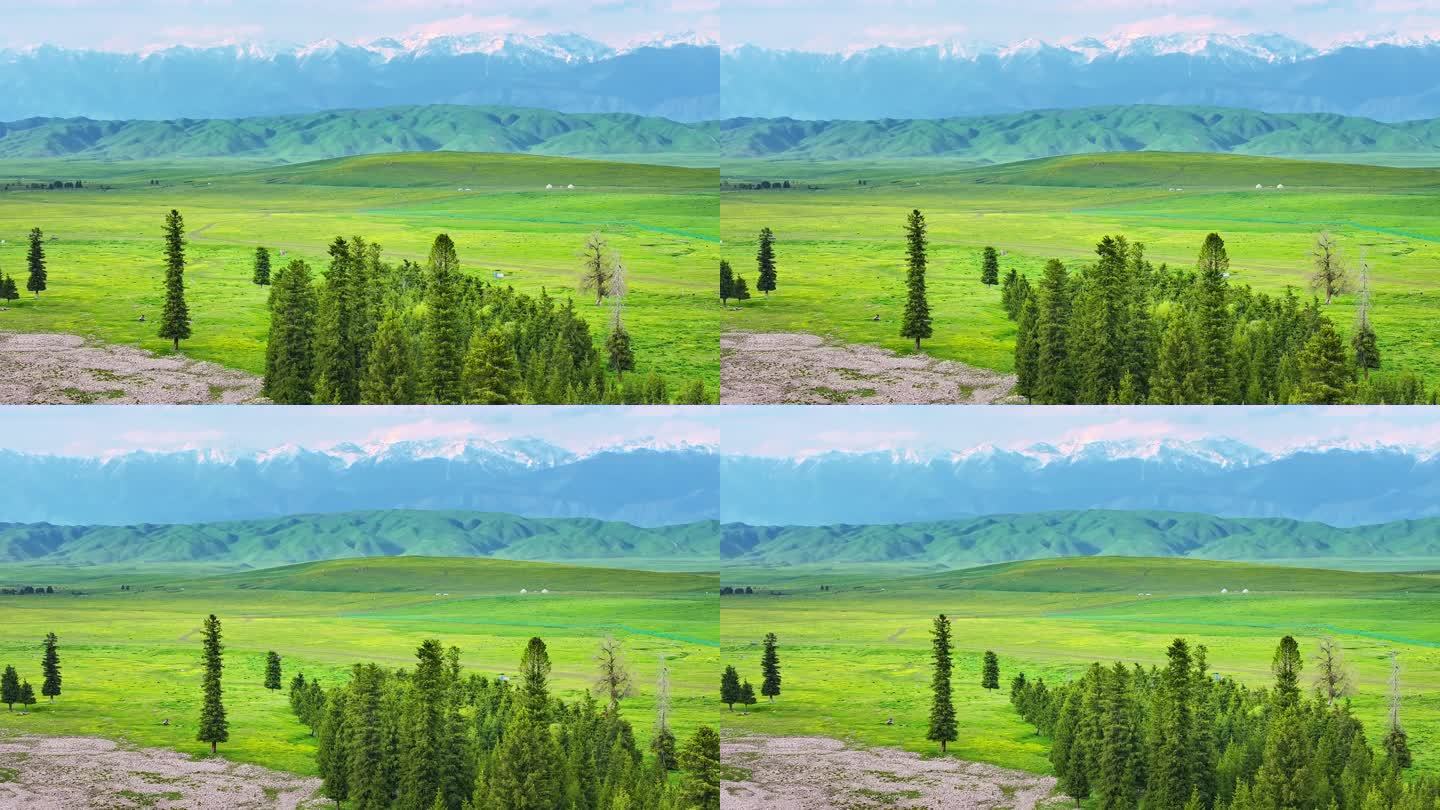 新疆那拉提雪山下的空中草原