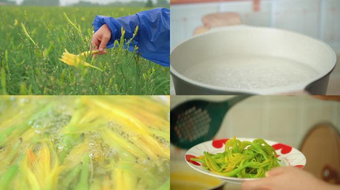 雨中采摘黄花菜和凉拌黄花菜制作