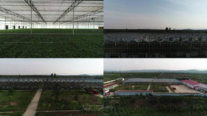 宁武马铃薯科技制种产业园