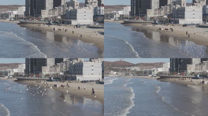 航拍威海金海滩海水浴场冬季游客海浪海鸥