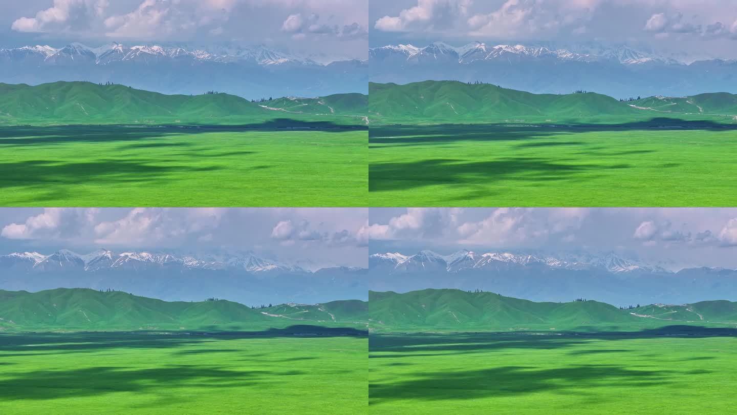 新疆天山下的草原