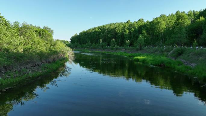 湿地河流夏日风景