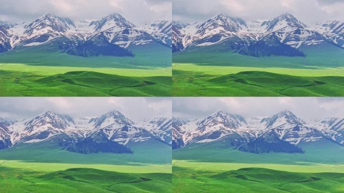 新疆雪山下的草原（那拉提）