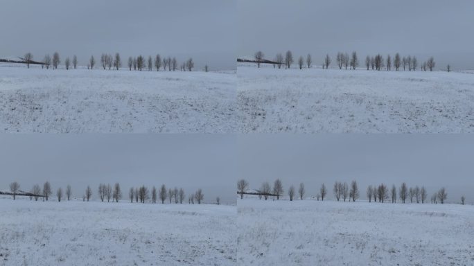 呼伦贝尔雪原风光