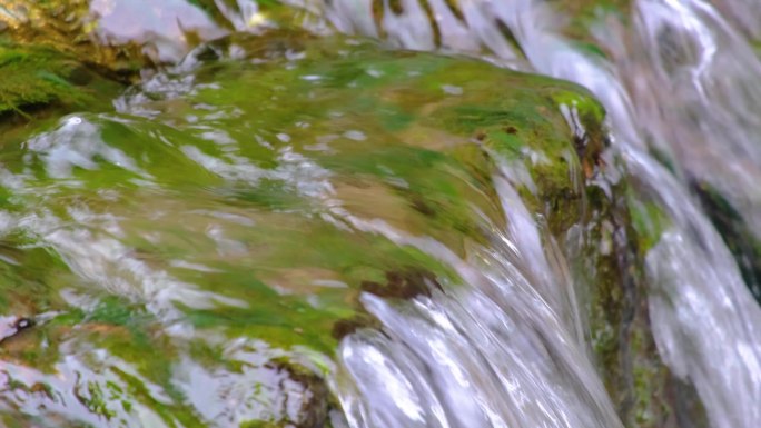 杭州植物园小溪流水特写视频素材