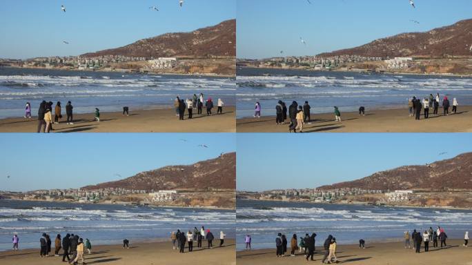 航拍威海金海滩海水浴场冬季游客海浪海鸥