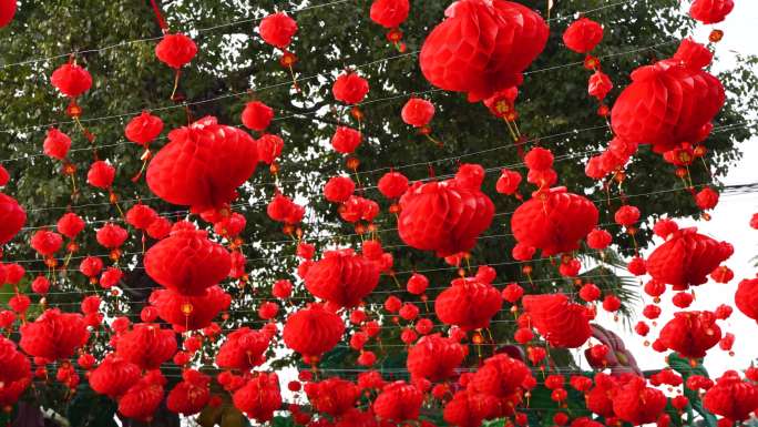 春节过年喜庆红灯笼挂饰