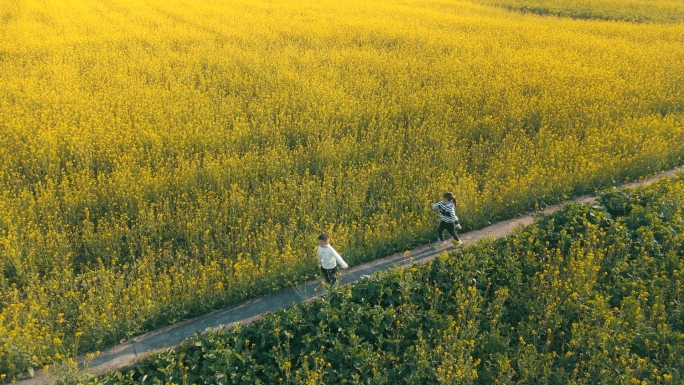 4k童年油菜花田