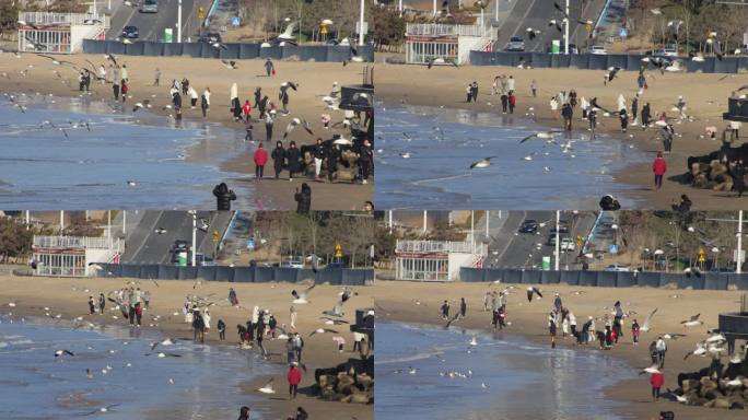 航拍威海金海滩海水浴场冬季游客海浪海鸥