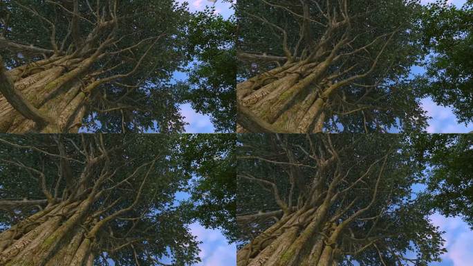 3D一棵参天大古树