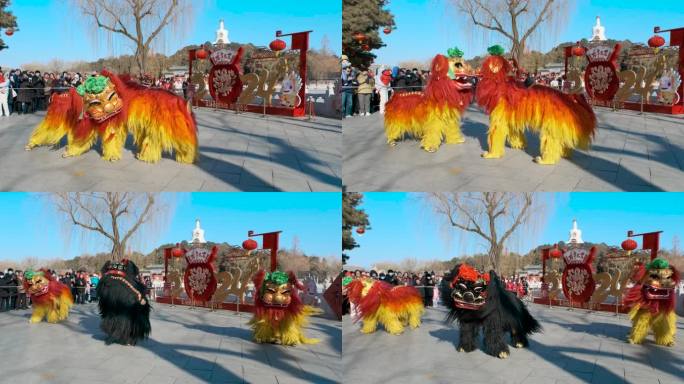 北京北海公园龙年新年春节太狮舞狮表演