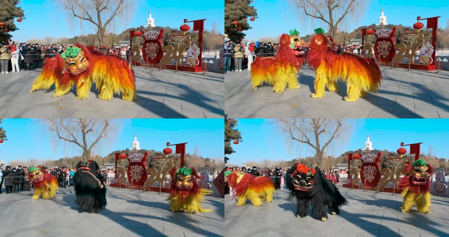 北京北海公园龙年新年春节太狮舞狮表演