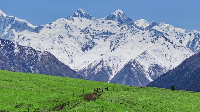 航拍新疆夏塔古道（雪山草原）