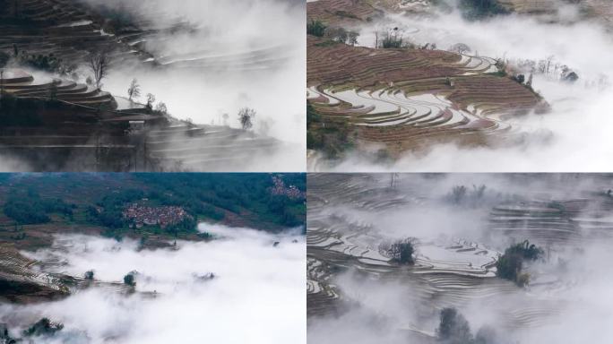 云雾缭绕的元阳坝达梯田