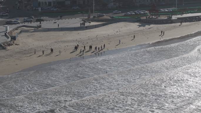 航拍威海金海滩海水浴场冬季游客海浪海鸥