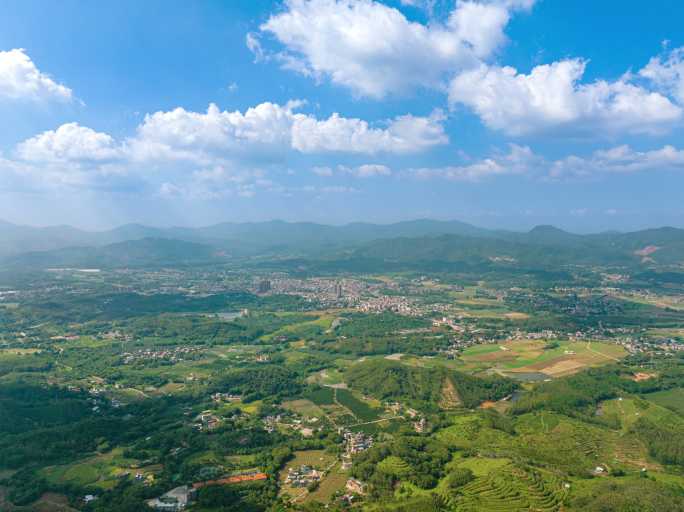 自然田园风光大景延时