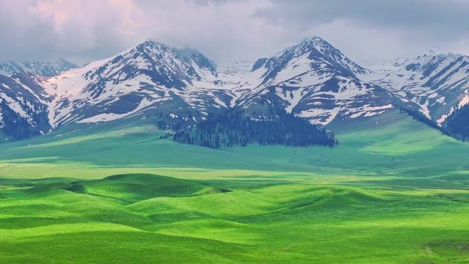 新疆那拉提雪山草原