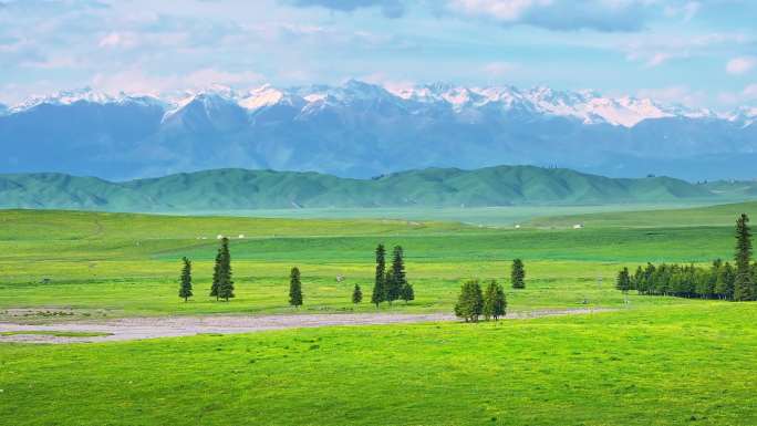 新疆那拉提雪山草原