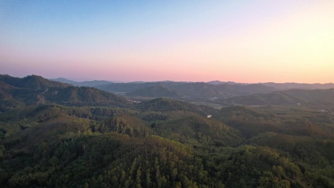 青山绿水 森林日落