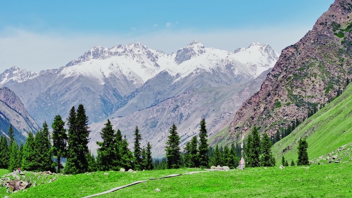 新疆 雪山 草原 森林