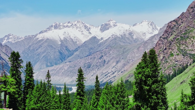 雪山下的草原森林