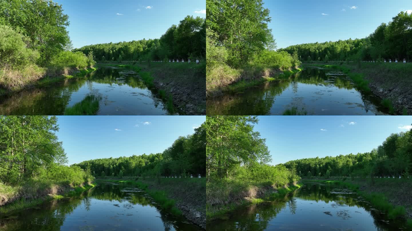 湿地河流夏日风景