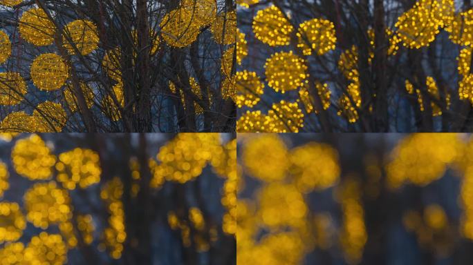 傍晚树上挂的金色彩灯 (4)
