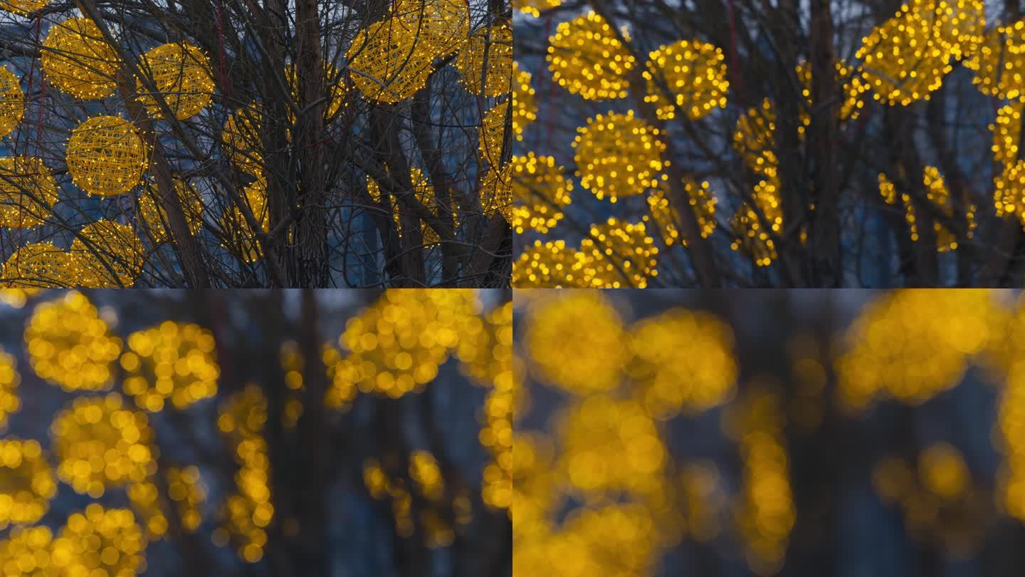 傍晚树上挂的金色彩灯 (4)