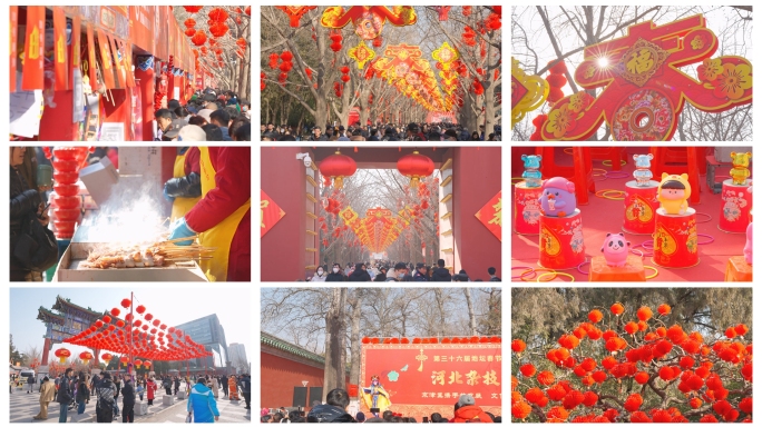 北京春节游客过年地坛庙会
