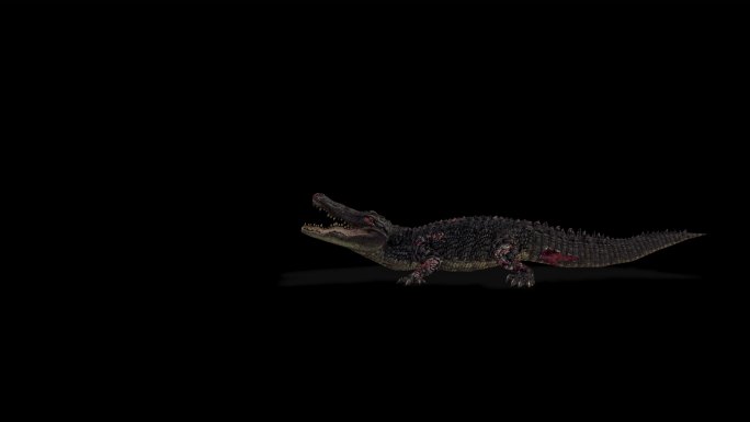 4k 透明通道 动物 鳄鱼