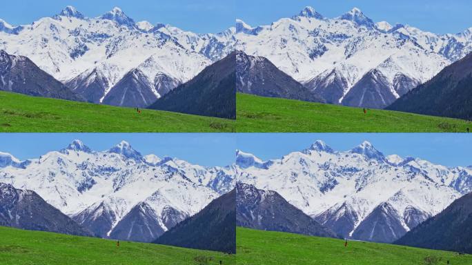 徒步夏塔古道雪山草原