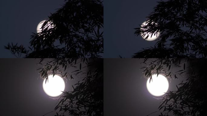 竹叶竹子月亮圆月