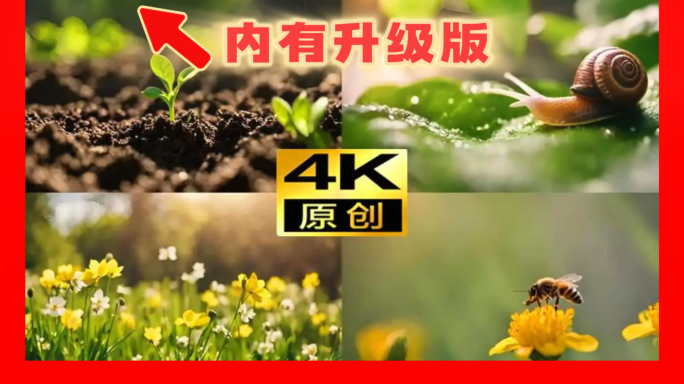 惊蛰节气惊蛰森林盛夏丛林雷电暴雨昆虫动物
