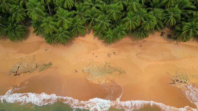 太子岛大草原鸟瞰图。Príncipe是世界上第一个由联合国教科文组织设立的生物圈保护区，位于非洲的<