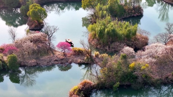 杭州西溪湿地梅花江南水乡小船惬意春游