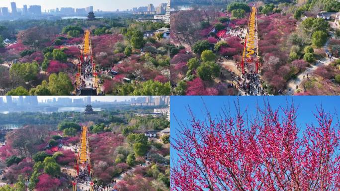 遗爱湖公园红梅傲雪景区4K60P航拍