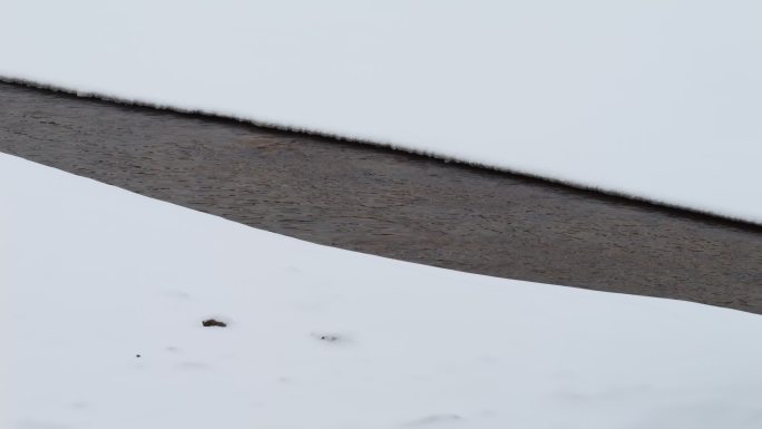 初春小河融雪