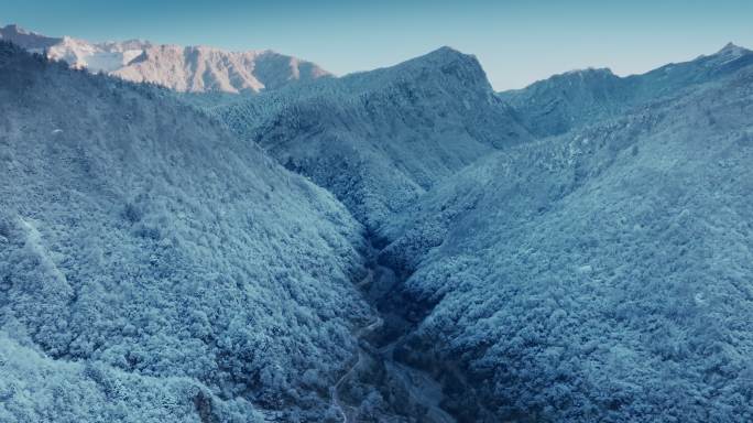 林海雪原 雪乡林海 冰雪二郎山 高山雪景