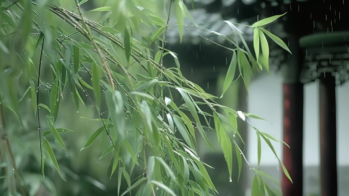 雨水 谷雨 惊蛰