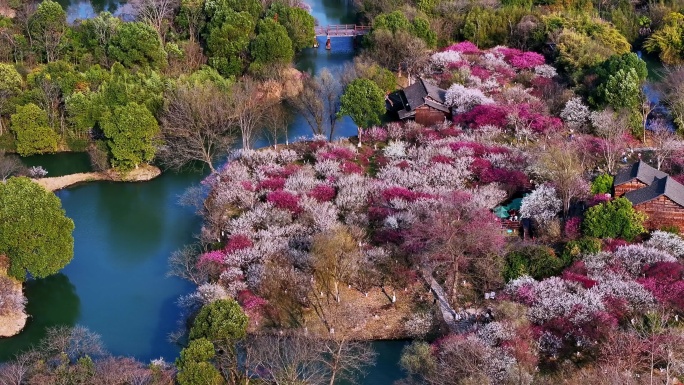 杭州西溪湿地曲水寻梅航拍