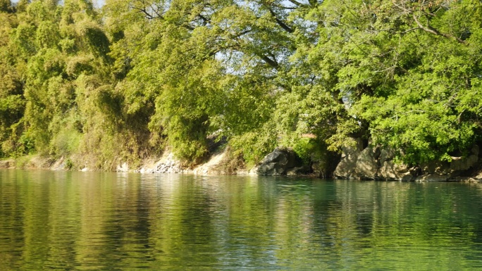 绿色风景河流河水水面倒影