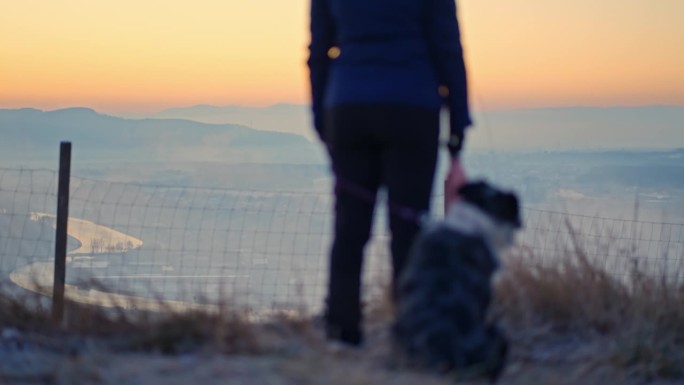 模糊的女人和边境牧羊犬在山上俯瞰美丽的日出