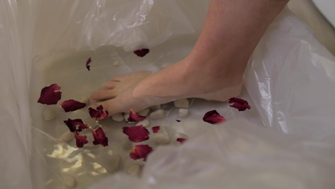 在美容院水疗中心，女性的脚踩在花瓣的水中，特写静态