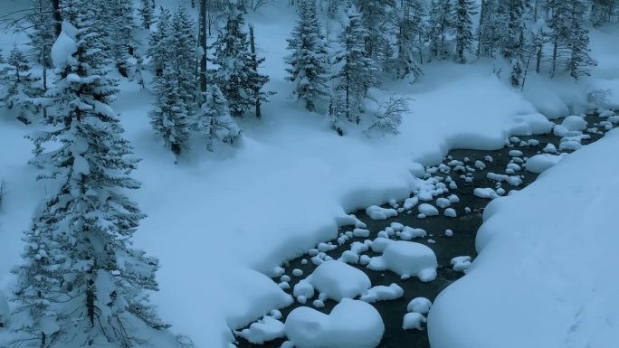 航拍无人机拍摄雪山河流冬季景观，暴风雪中的冷杉林。冬天的俄罗斯，西伯利亚。