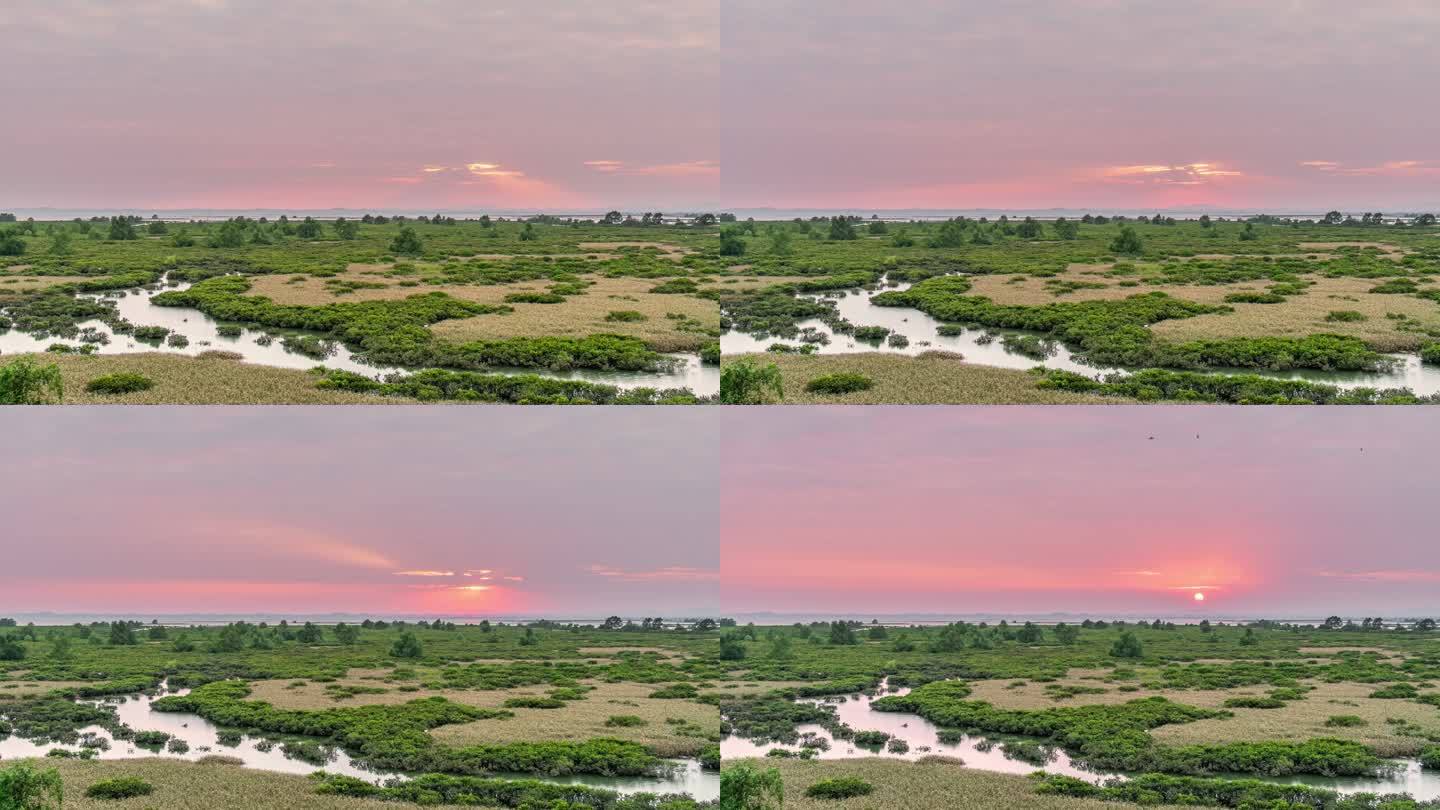 红树林湿地日落延时