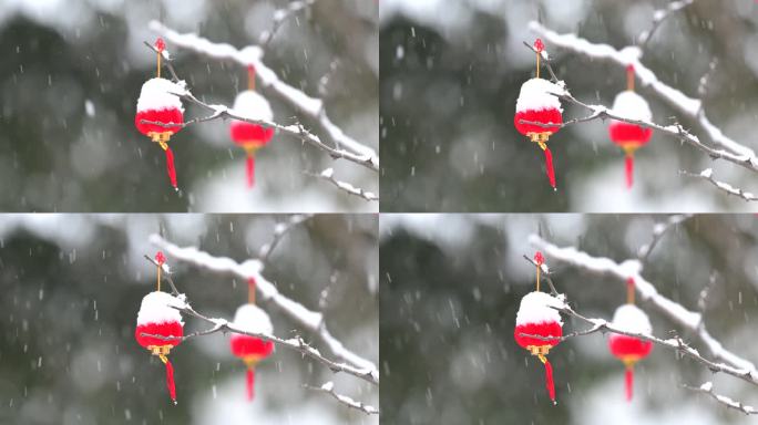 雪落在挂在树上的红灯笼上