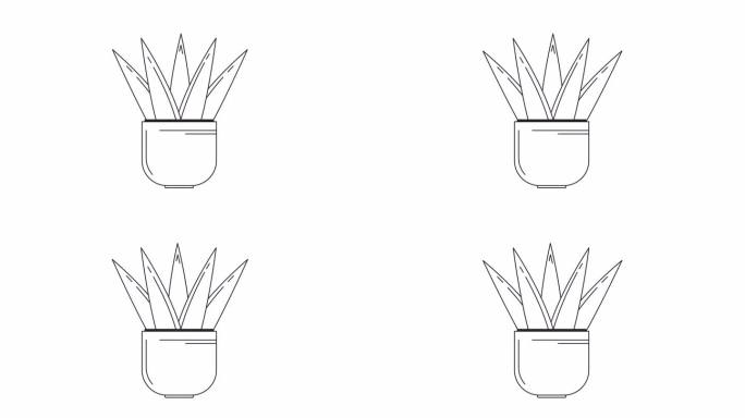芦荟盆栽植物的轮廓2D物体动画