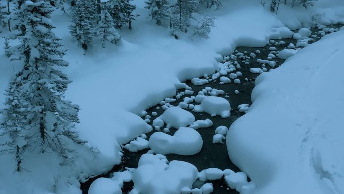航拍无人机拍摄雪山河流冬季景观，暴风雪中的冷杉林。冬天的俄罗斯，西伯利亚。