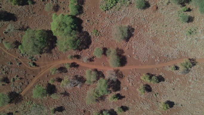 红色干旱土壤穿过小路，非洲稀树草原景观，空中俯瞰