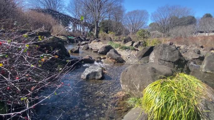 一个以日本梅子闻名的公园